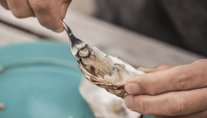 fertilidade masculina alimentacao ostras 