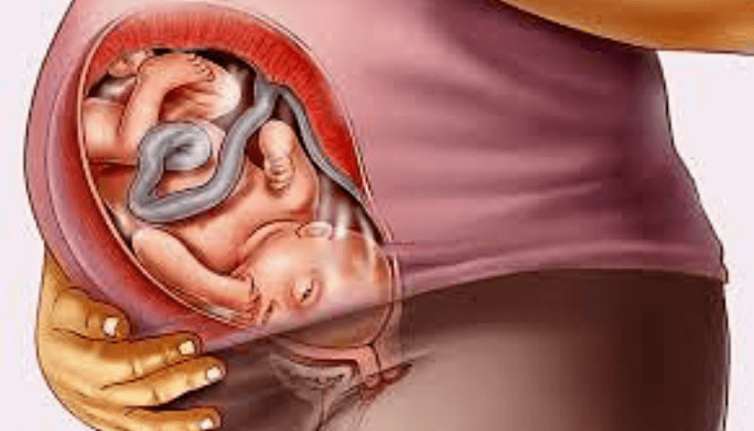 Os bebês choram dentro da barriga da mamãe