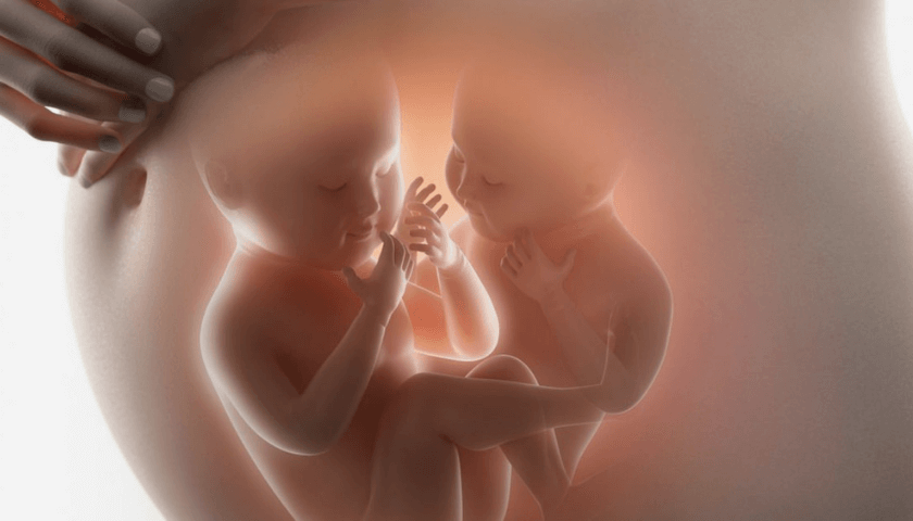 site maternidade-bebê-mamãe-gravidez gemelar-quadrigêmeos-pre natal-gravidezes-bebês múltiplos