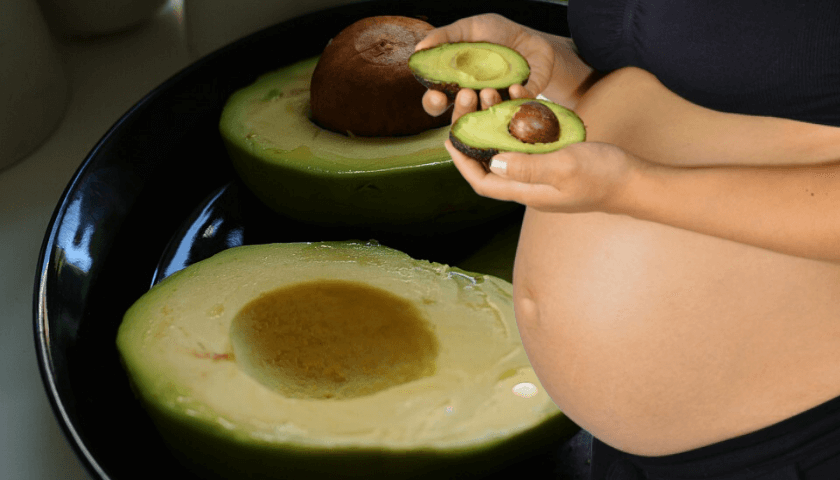 beneficios do abacate na gravidez