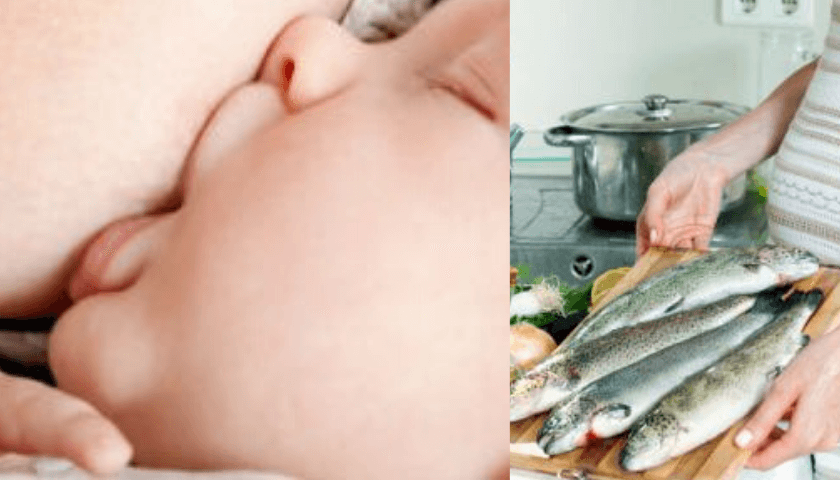 comer peixes na amamentação