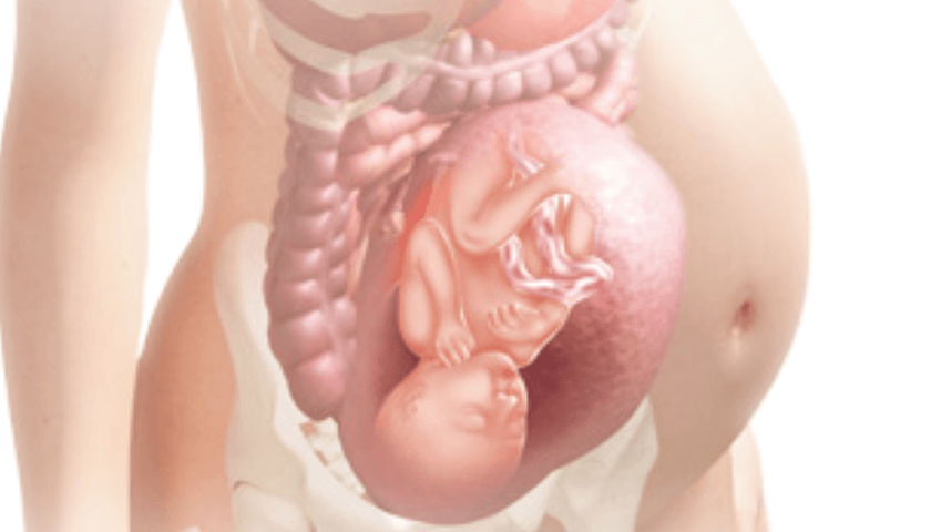 Desenvolvimento fetal com 30 semanas de gravidez