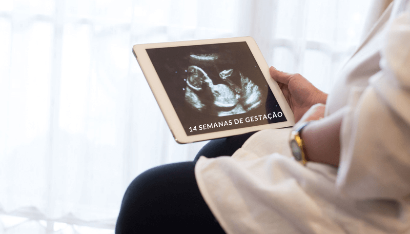 ultrassom com 14° semanas de gravidez