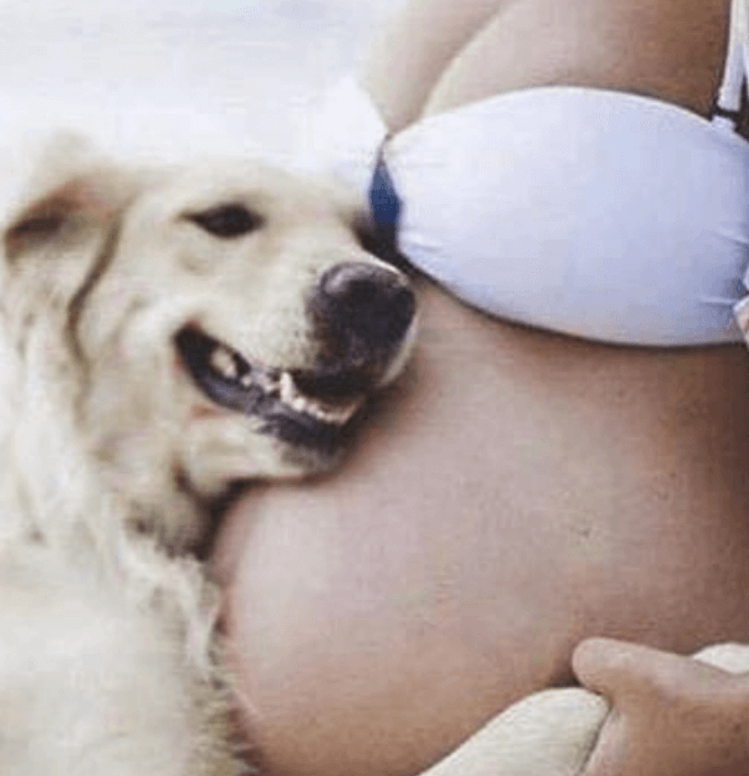 mulher com cachorro feliz